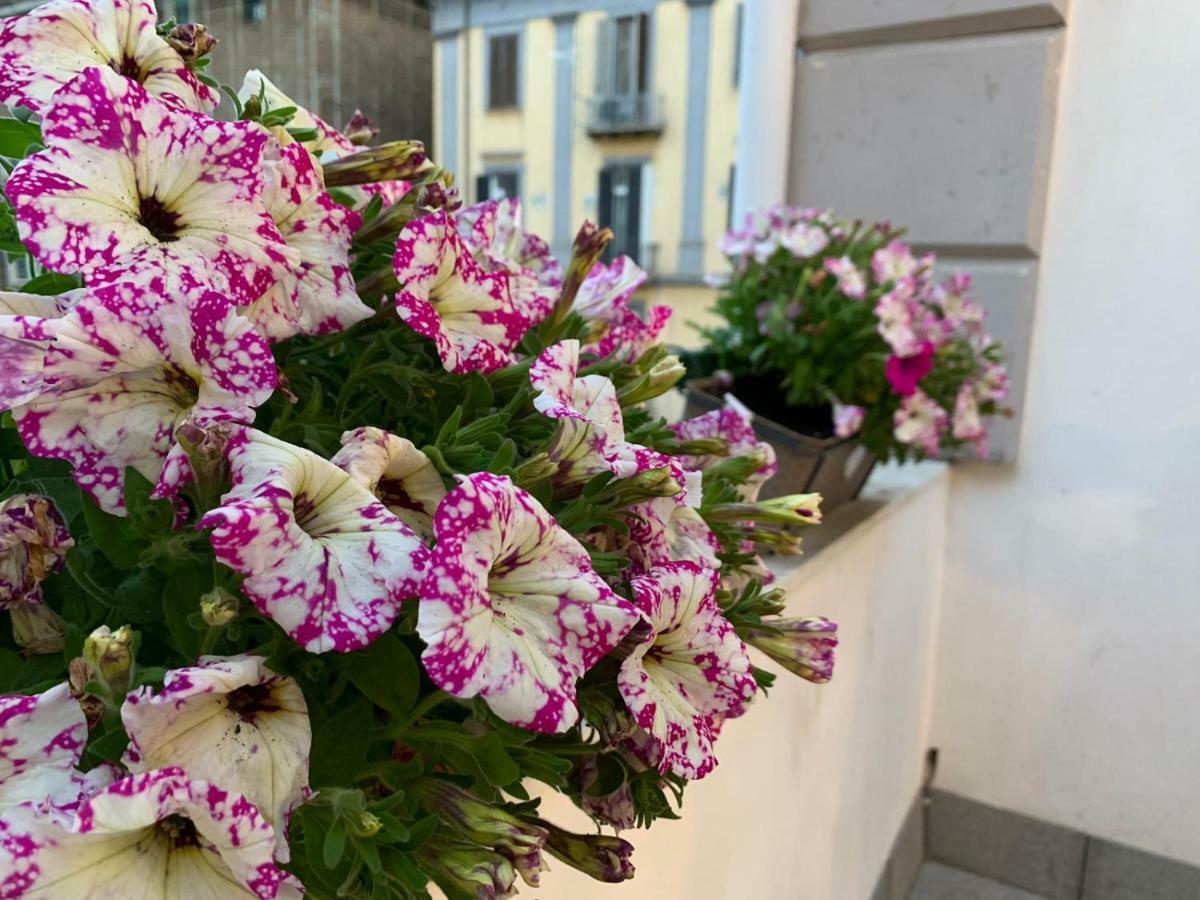 La Terrazza Sul Porto Apartment Napoli Exterior foto